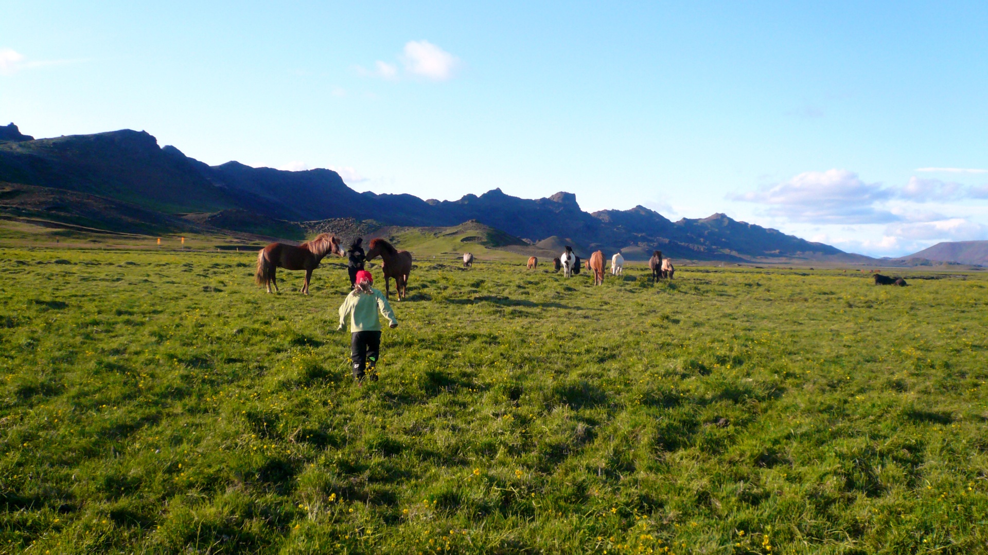 The Fabulous Alt Text